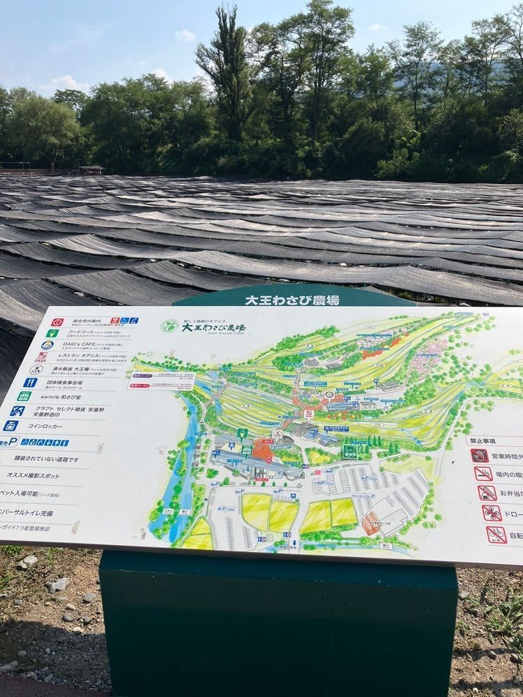 Nさんが投稿した大王わさび農場(大王神社付近)に関する口コミの画像