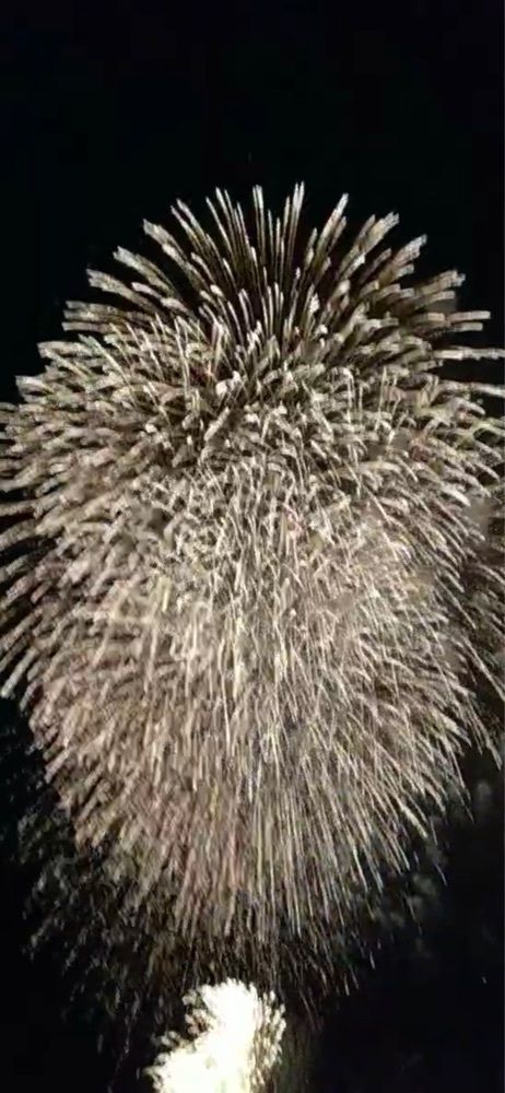 みぃさんが投稿したさぬき高松まつり花火大会に関する口コミの画像