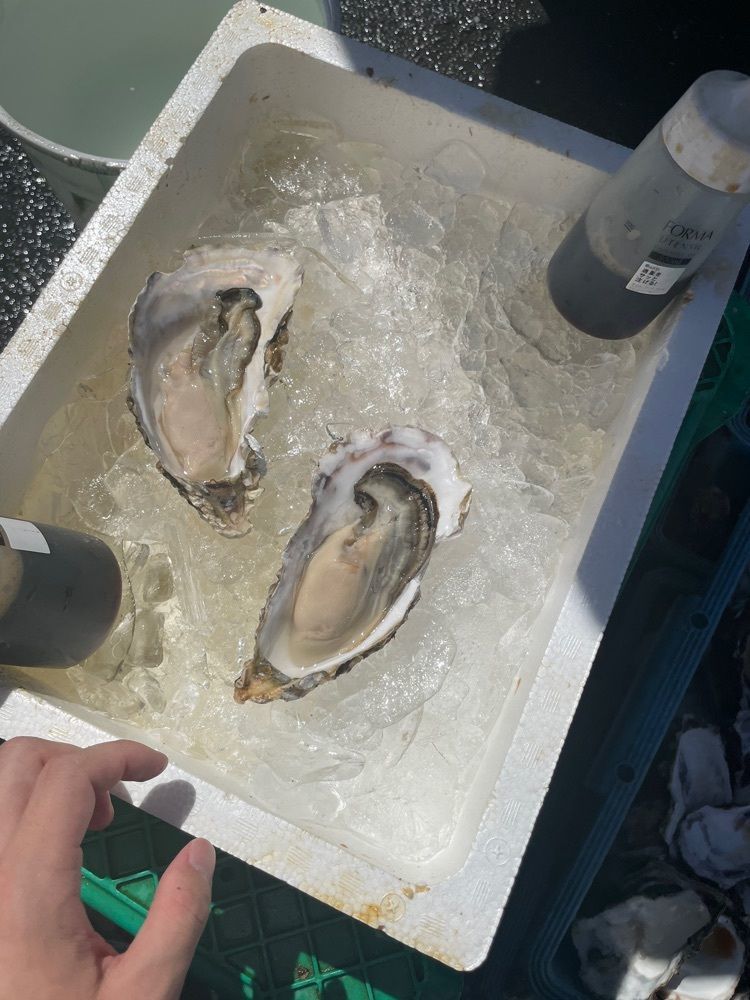 taku39さんが投稿したヤマサ水産 総本店に関する口コミの画像