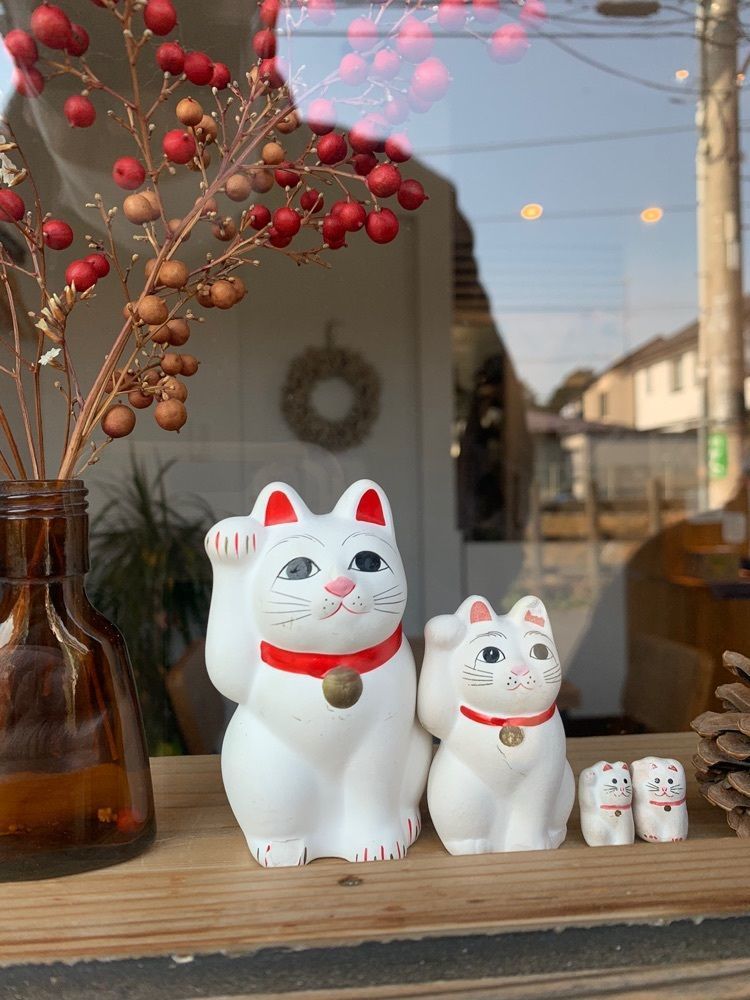 team t&t4416さんが投稿したまほろ堂 蒼月に関する口コミの画像