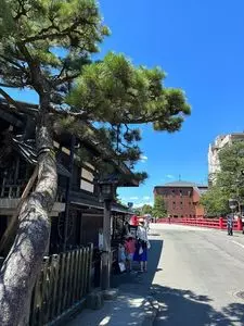 飛騨小町（ひだこまち）