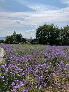安曇野ちひろ公園