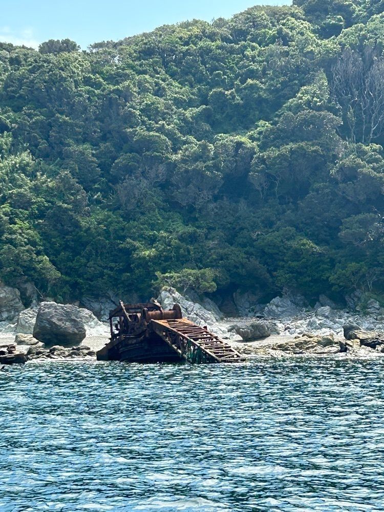 paru1976さんが投稿した樺島一周クルージングに関する口コミの画像