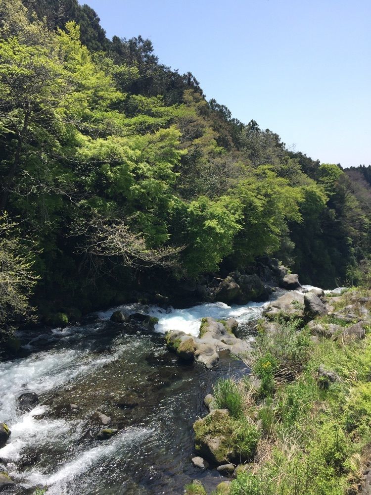からっ風②さんが投稿した音止の滝に関する口コミの画像
