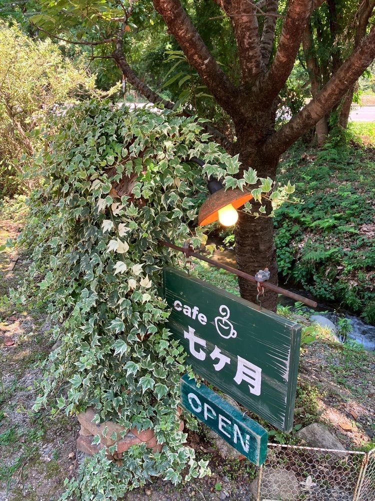 Nさんが投稿した七ヶ月に関する口コミの画像