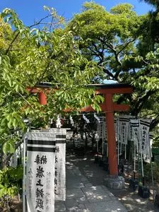 鶴岡八幡宮のハスの花