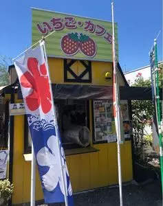 土方洋蘭いちご園 1枚目