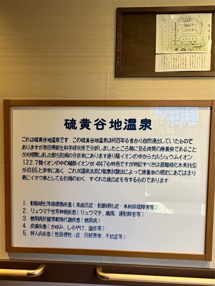 かめ_メグミさんが投稿した金浦温泉 学校の栖に関する口コミの画像