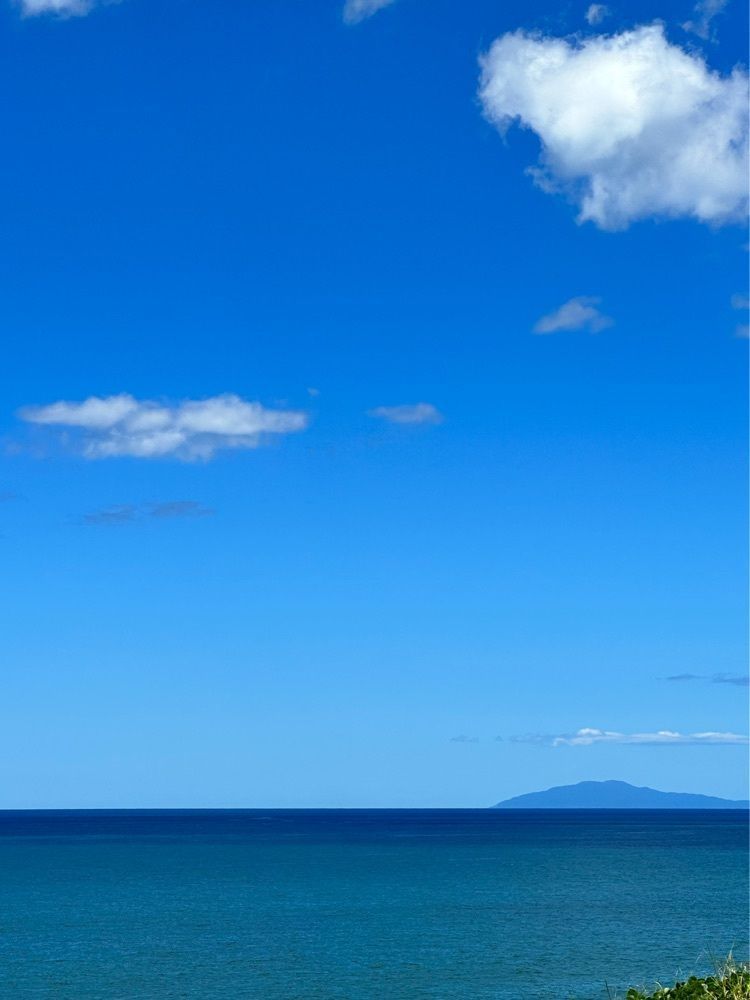 かめ_メグミさんが投稿した金浦温泉 学校の栖に関する口コミの画像