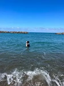 鷹巣海水浴場