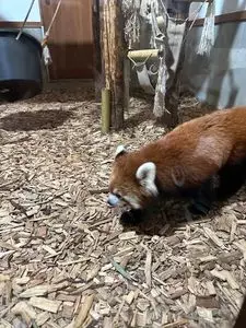 茶臼山動物園 3枚目