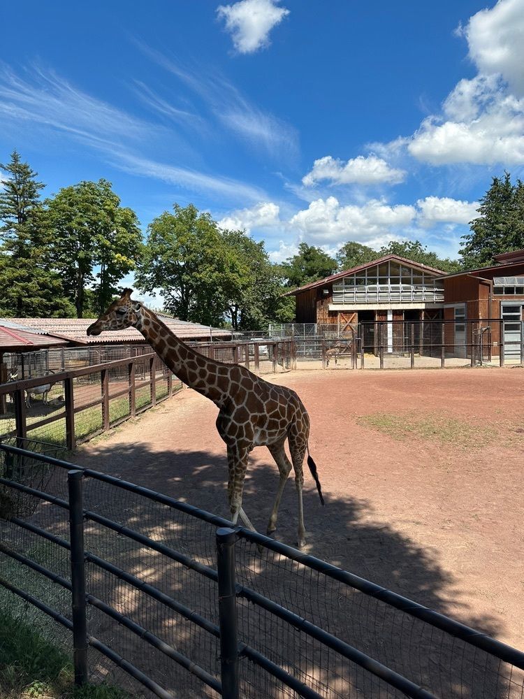 m.さんが投稿した茶臼山動物園に関する口コミの画像