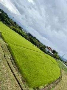 精芳園