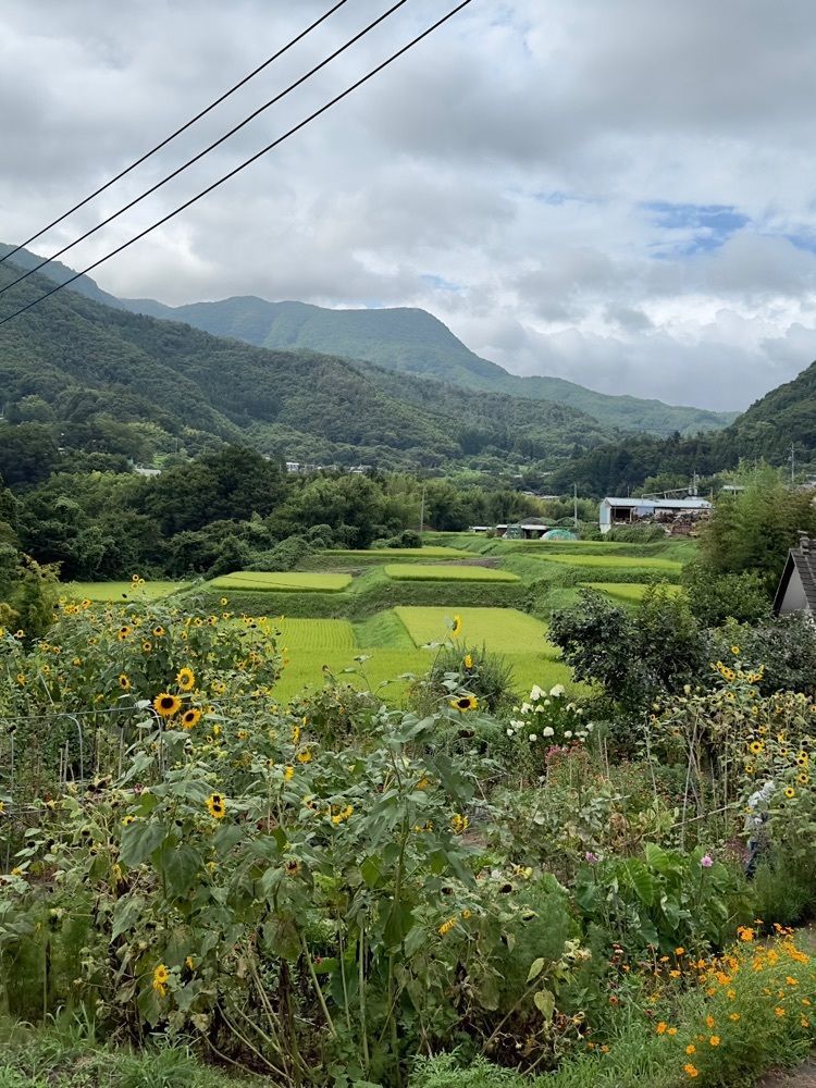 からっ風②さんが投稿した精芳園に関する口コミの画像