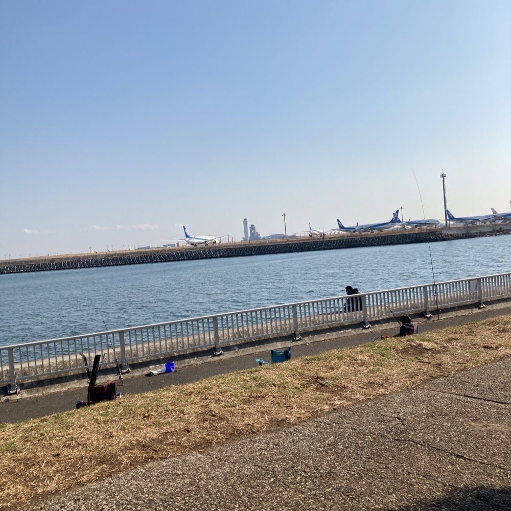 ロッシフミさんが投稿した中国料理 保昌（ホショウ）に関する口コミの画像
