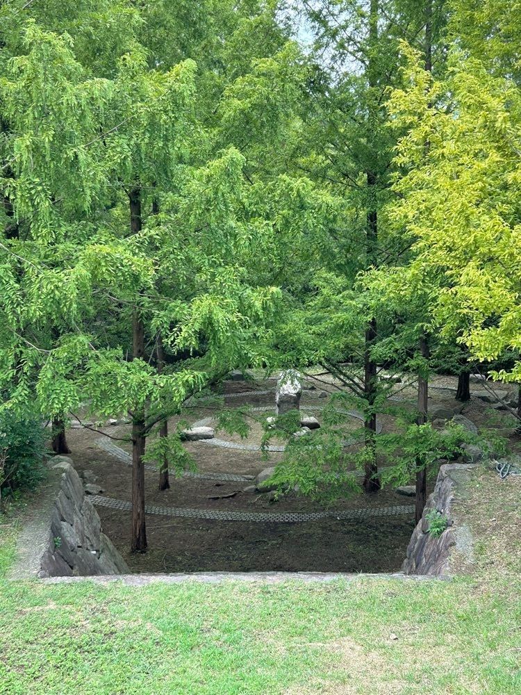 tokutokuさんが投稿した太古の森に関する口コミの画像