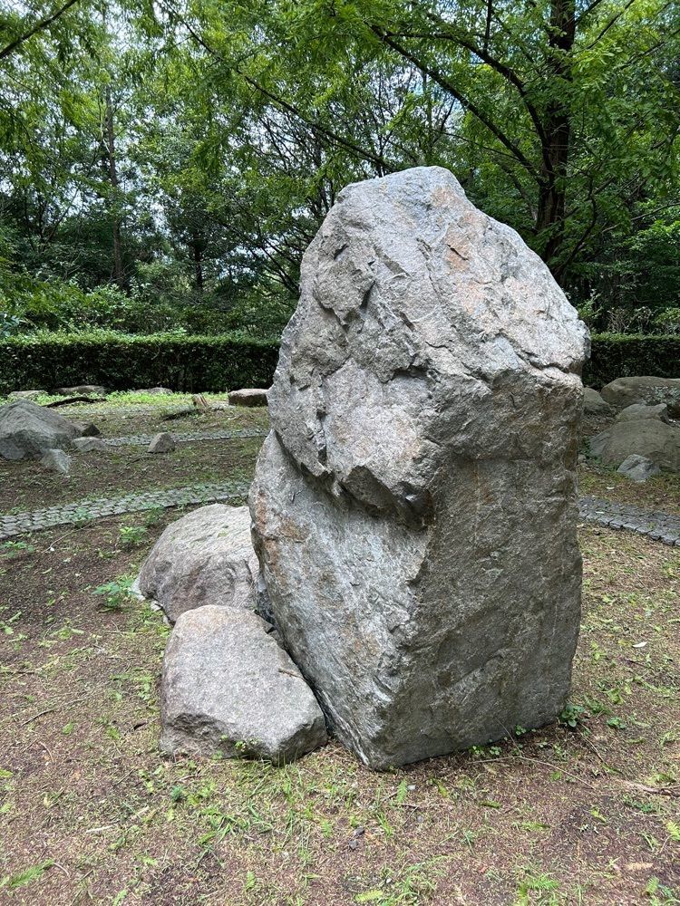 tokutokuさんが投稿した太古の森に関する口コミの画像