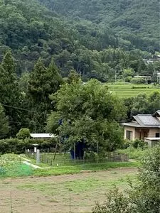 薄根の大桑