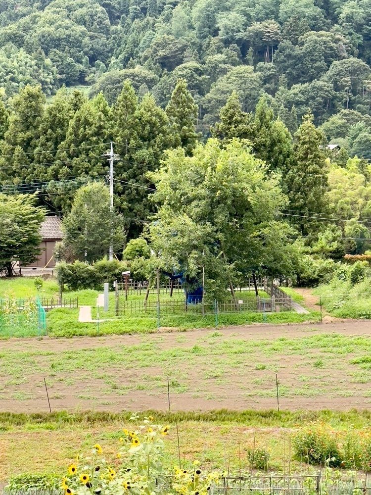 からっ風②さんが投稿した薄根の大桑に関する口コミの画像