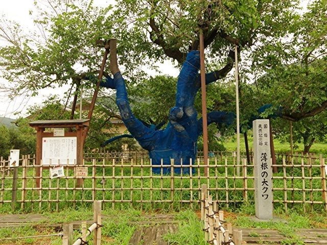 からっ風②さんが投稿した薄根の大桑に関する口コミの画像
