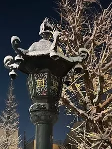 蚕糸の森公園