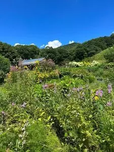 中之条山の上庭園
