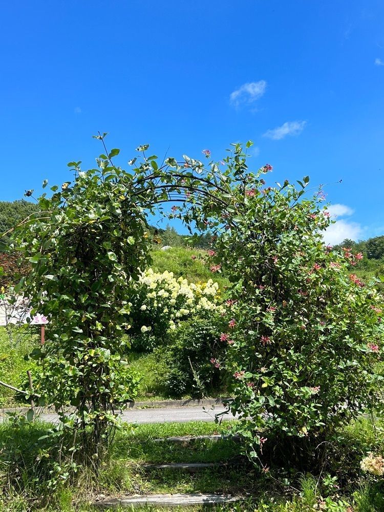 jun1216さんが投稿した中之条山の上庭園に関する口コミの画像