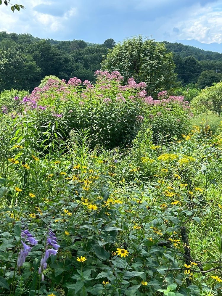 jun1216さんが投稿した中之条山の上庭園に関する口コミの画像
