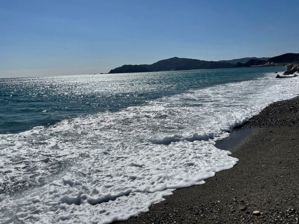 メリーさんが投稿した仁淀川河口大橋に関する口コミの画像