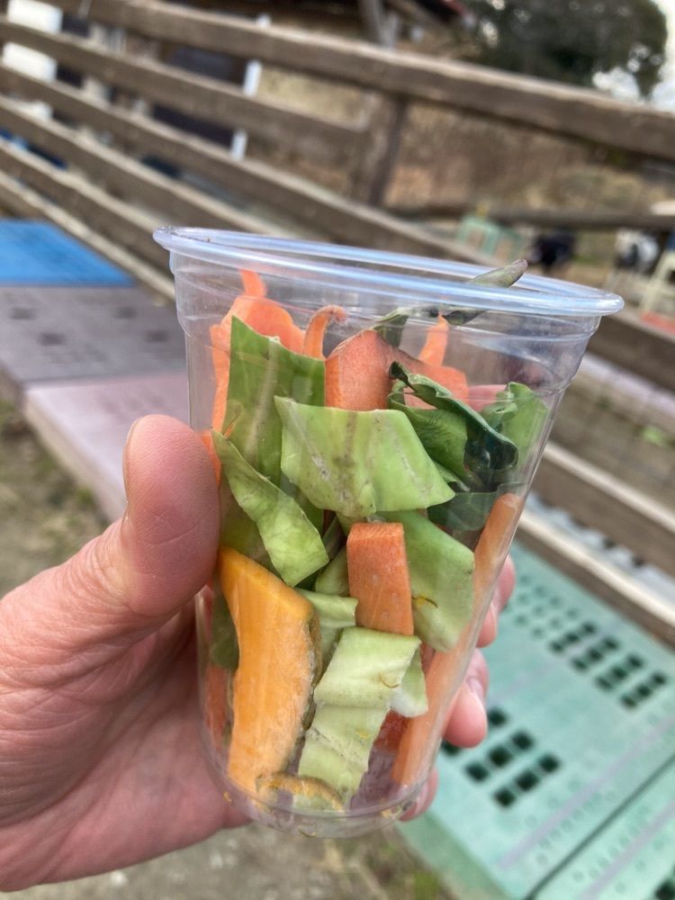 なおなおさんが投稿したおにぎり茶屋ほたるに関する口コミの画像