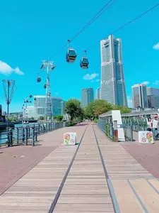 汽車道（港１号・２号・３号橋梁旧臨港線護岸）