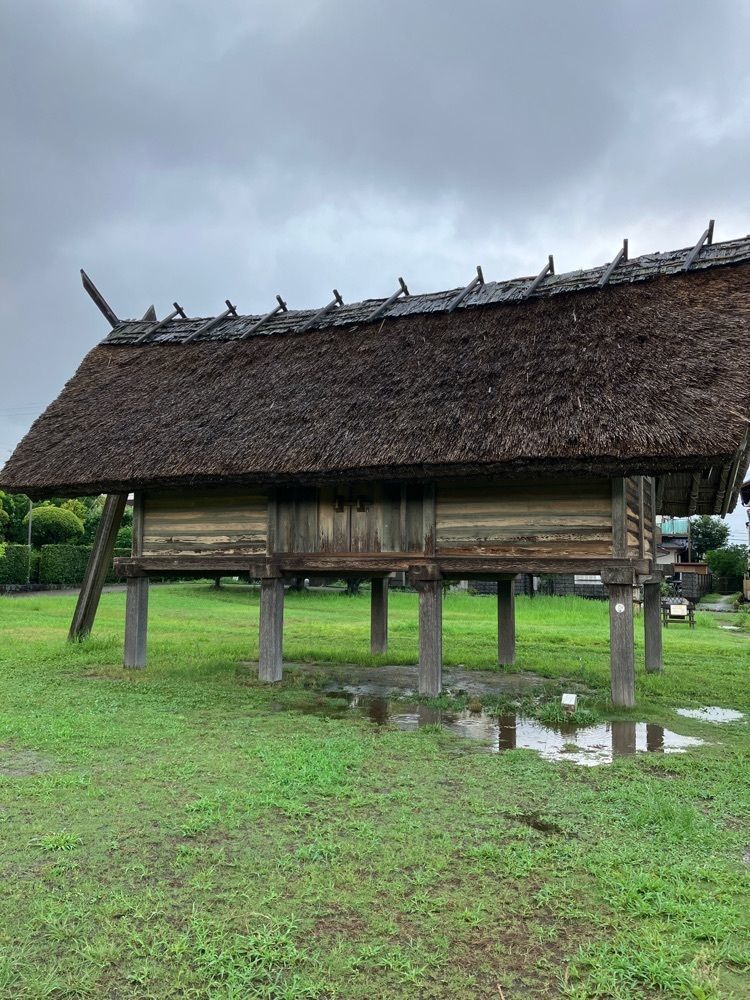 べべさんが投稿した登呂公園に関する口コミの画像