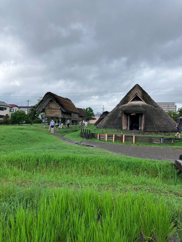 べべさんが投稿した登呂公園に関する口コミの画像