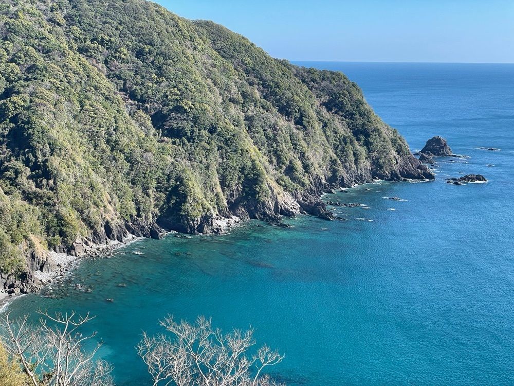 メリーさんが投稿した横浪黒潮ラインに関する口コミの画像