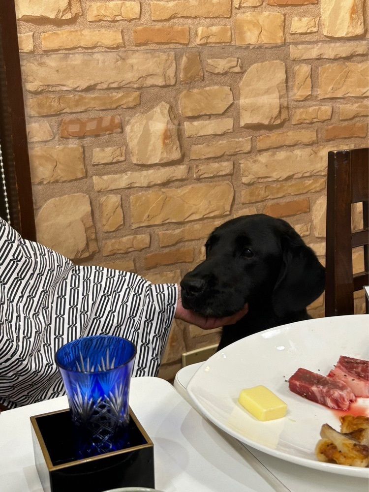 かよこさんが投稿したモルゲンに関する口コミの画像
