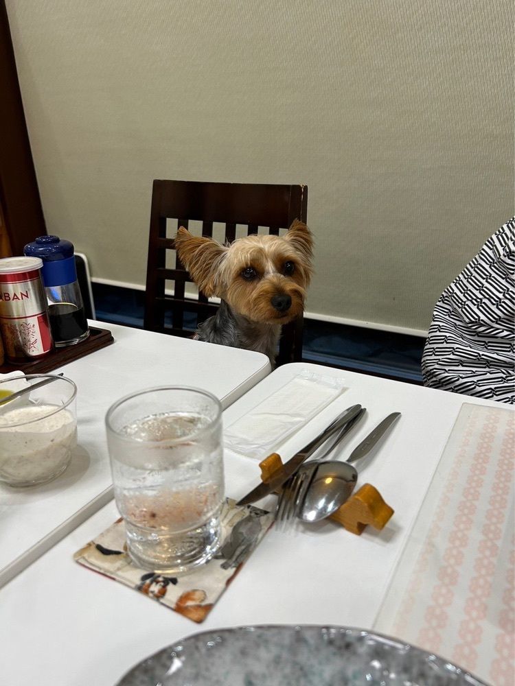 かよこさんが投稿したモルゲンに関する口コミの画像