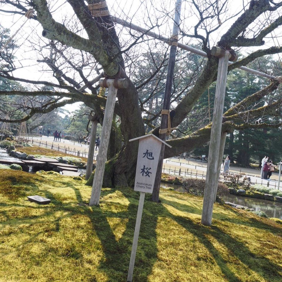 みんみんさんが投稿した特別名勝兼六園 堤亭に関する口コミの画像
