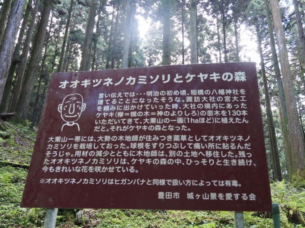 Howl Monさんが投稿したどんぐりの湯に関する口コミの画像