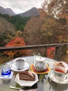 遊森歩