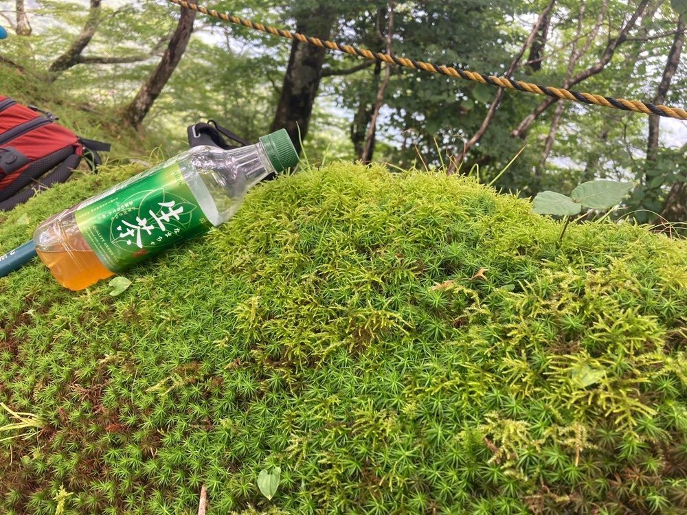 Howl Monさんが投稿した静岡市 梅ヶ島温泉 湯元屋に関する口コミの画像