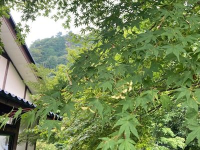 梅ケ島新田温泉黄金の湯 3枚目