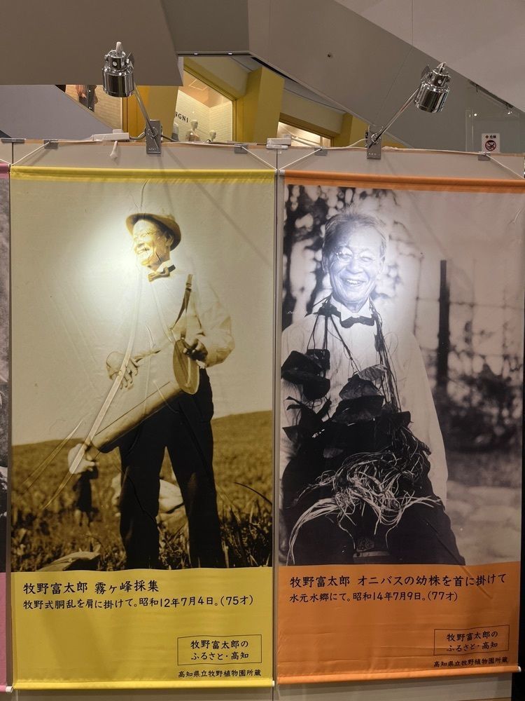 chou chou tabiさんが投稿したカフェ モロゾフ 京阪百貨店くずはモール店（Cafe Morozoff）に関する口コミの画像