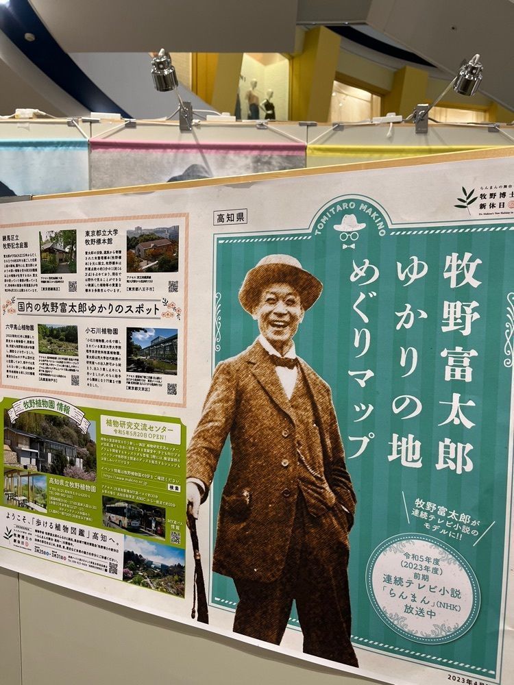 chou chou tabiさんが投稿したカフェ モロゾフ 京阪百貨店くずはモール店（Cafe Morozoff）に関する口コミの画像