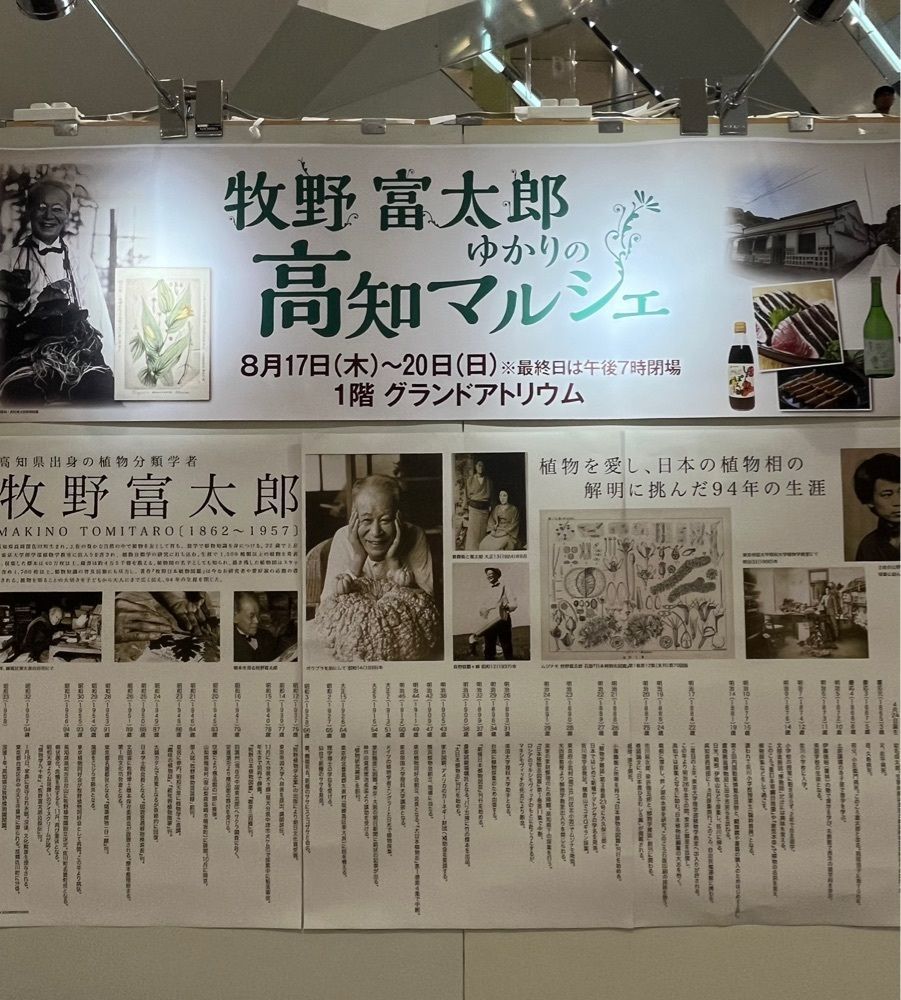chou chou tabiさんが投稿したカフェ モロゾフ 京阪百貨店くずはモール店（Cafe Morozoff）に関する口コミの画像