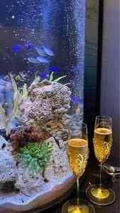 新宿 アクアリウムダイニング JeMare（ジェマーレ）