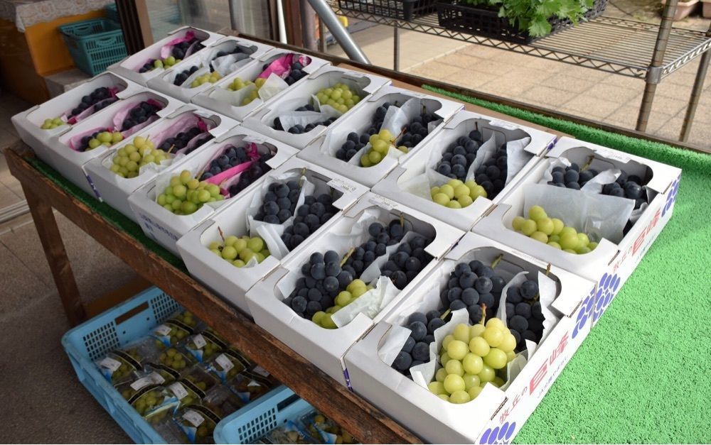 ＤＪゴン太さんが投稿した道の駅 花かげの郷まきおかに関する口コミの画像