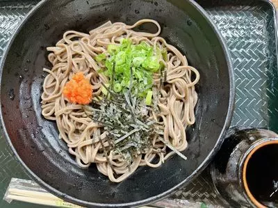 道の駅 湯の川