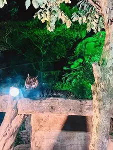 セルコホーム ズーパラダイス八木山