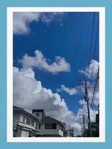 魚はま（うおはま）