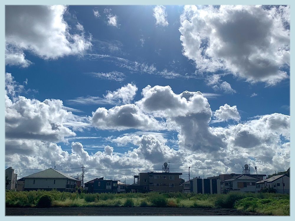 junkunさんが投稿した魚はま（うおはま）に関する口コミの画像